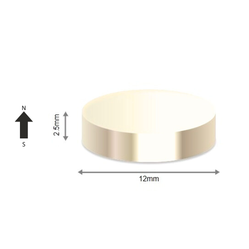 High-Performance N37M Neodymium Rare Earth Disc Magnet D12 x 2.5 mm | Durable &Versatile for Multiple Applications